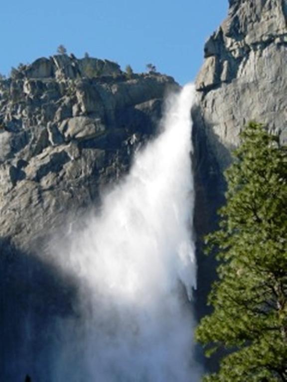 Yosemite Condominium Yosemite West Dış mekan fotoğraf