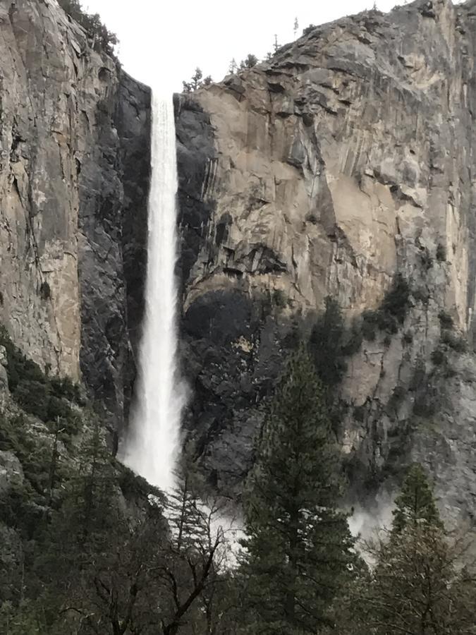 Yosemite Condominium Yosemite West Dış mekan fotoğraf