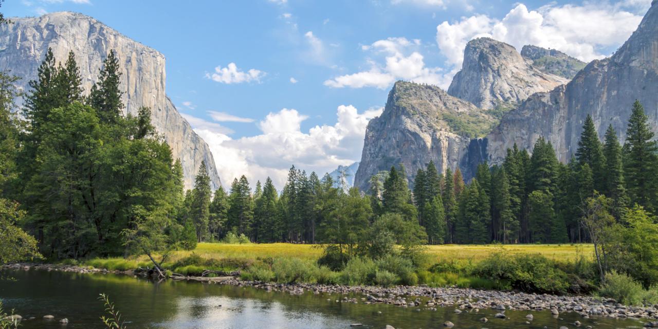 Yosemite Condominium Yosemite West Dış mekan fotoğraf