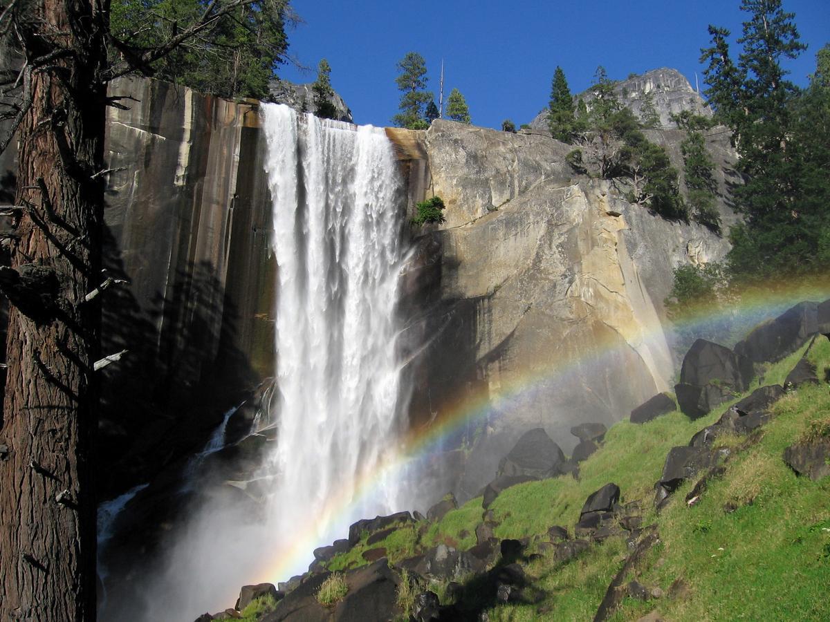 Yosemite Condominium Yosemite West Dış mekan fotoğraf